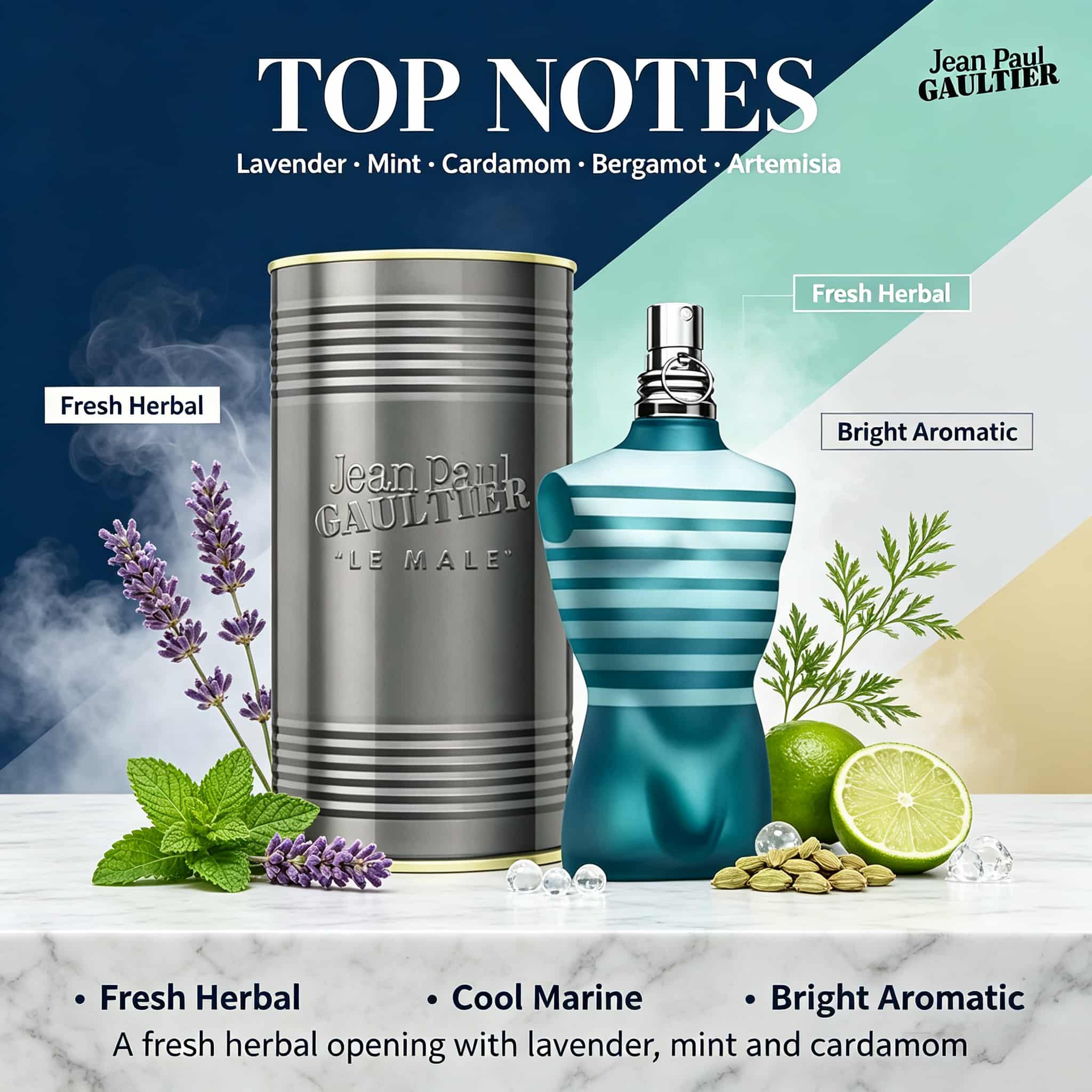 ฌอง ปอล กอลเทียร์ เล มายล์ โอ  - Perfume Fragrance Jean Paul Gaultier Le Male บทวิจารณ์และราคา